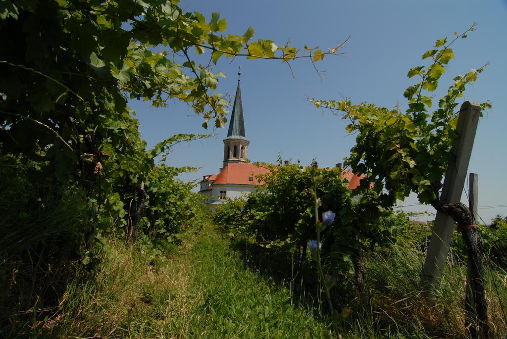 Winzerhotel Gumpoldskirchen Exterior photo